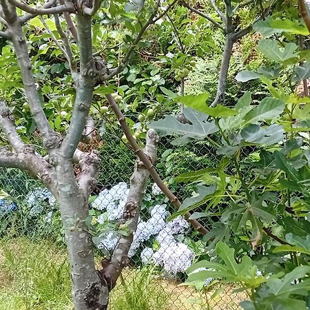 PiconaVivienda Con Jardin Terraza Y Barbacoa别墅 外观 照片