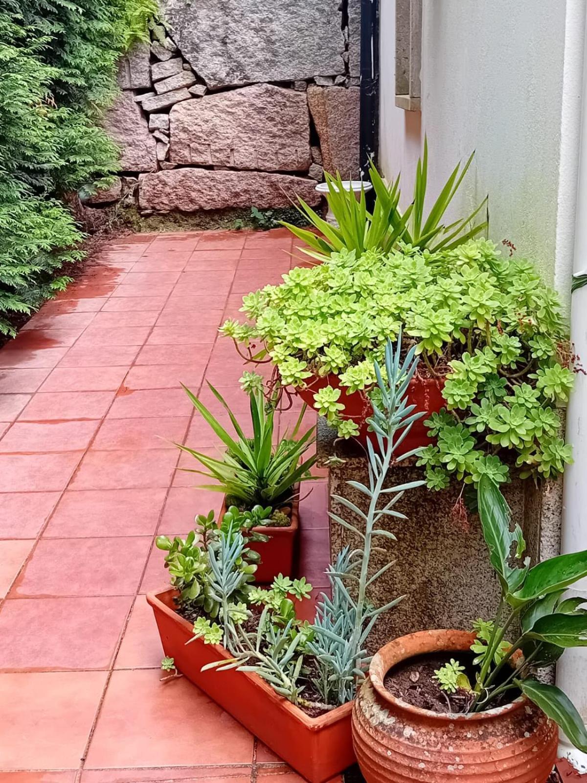PiconaVivienda Con Jardin Terraza Y Barbacoa别墅 外观 照片