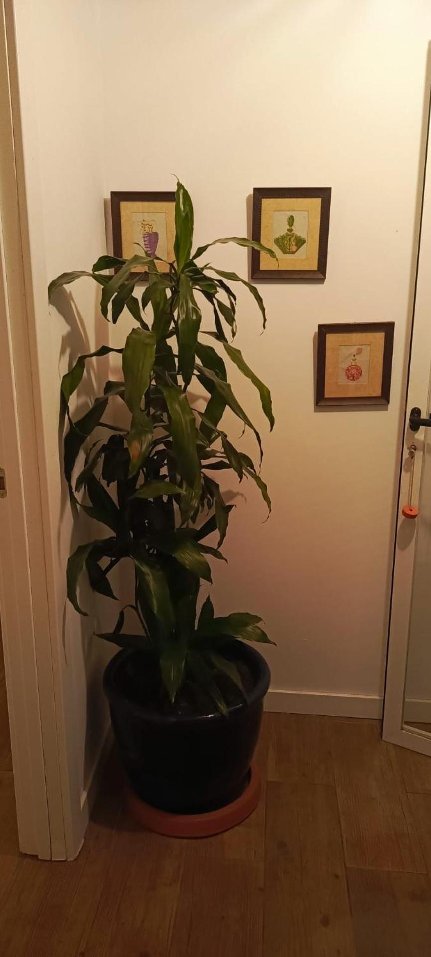 PiconaVivienda Con Jardin Terraza Y Barbacoa别墅 外观 照片
